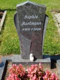 image of grave number 458394